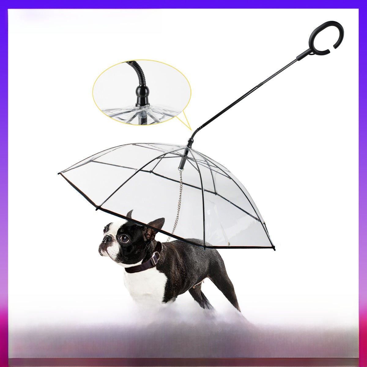 Transparent Pet umbrella